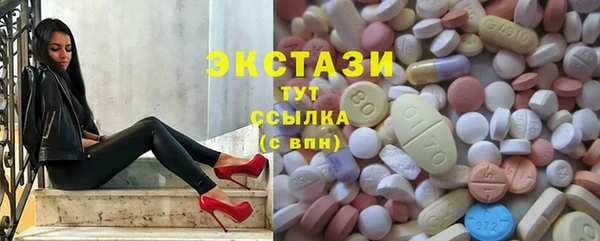 стафф Заполярный